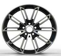 HJ0216-1L