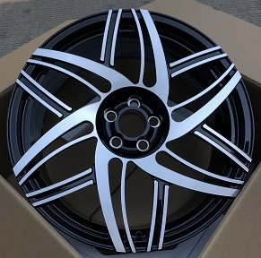 DS481R